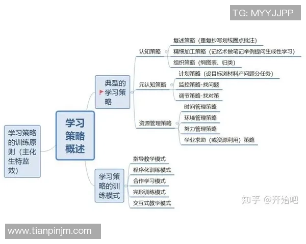 乒乓球技术与心理素质的完美结合探索与训练策略分析