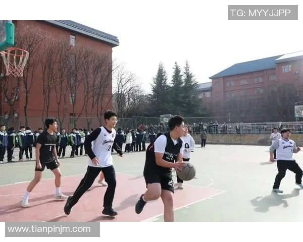 体育竞技争锋激烈赛场风云各路豪杰角逐荣耀冠军梦想绽放全力以赴拼搏精神闪耀