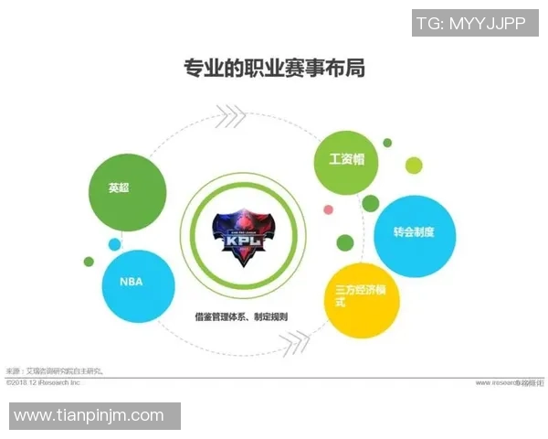 电竞职业联赛发展现状分析与未来趋势展望探索