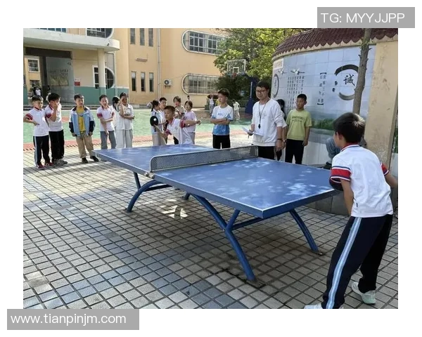 聚焦国际体育赛事激战呈现竞技精神与团结力量全面绽放魅力风采展