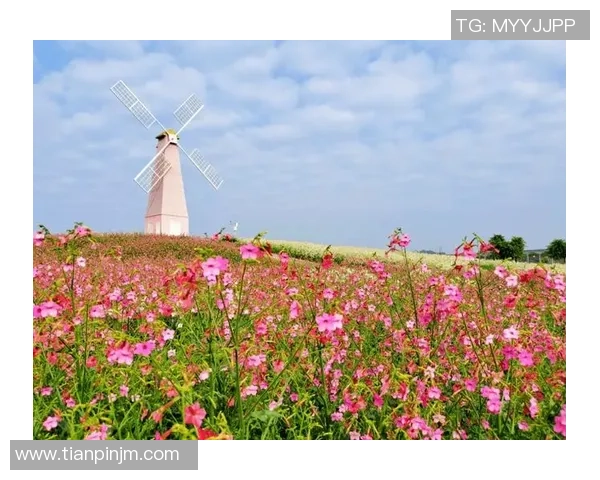 花海王者引领梦幻盛景绽放缤纷色彩打造唯美浪漫奇境